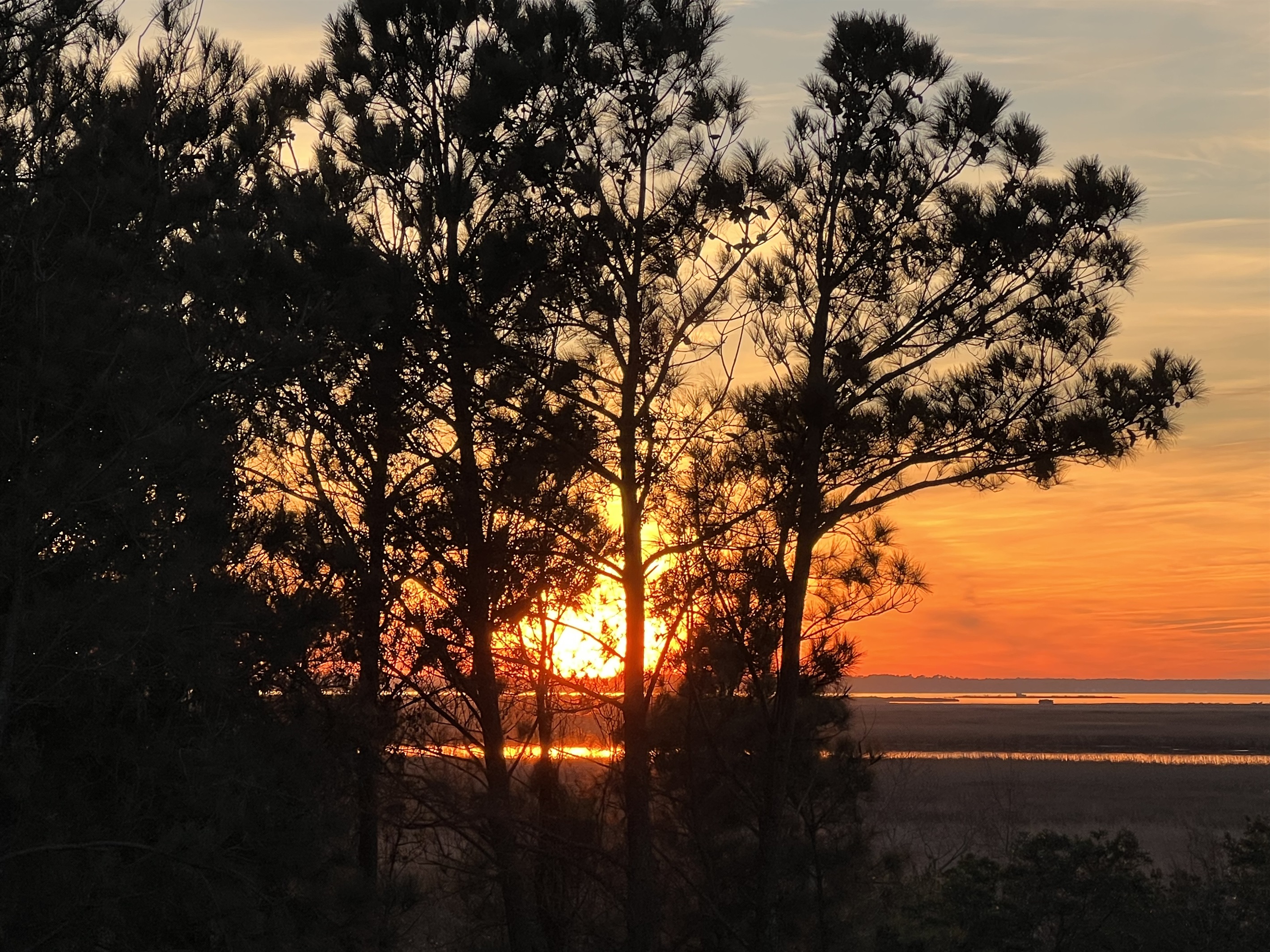 Sunset View