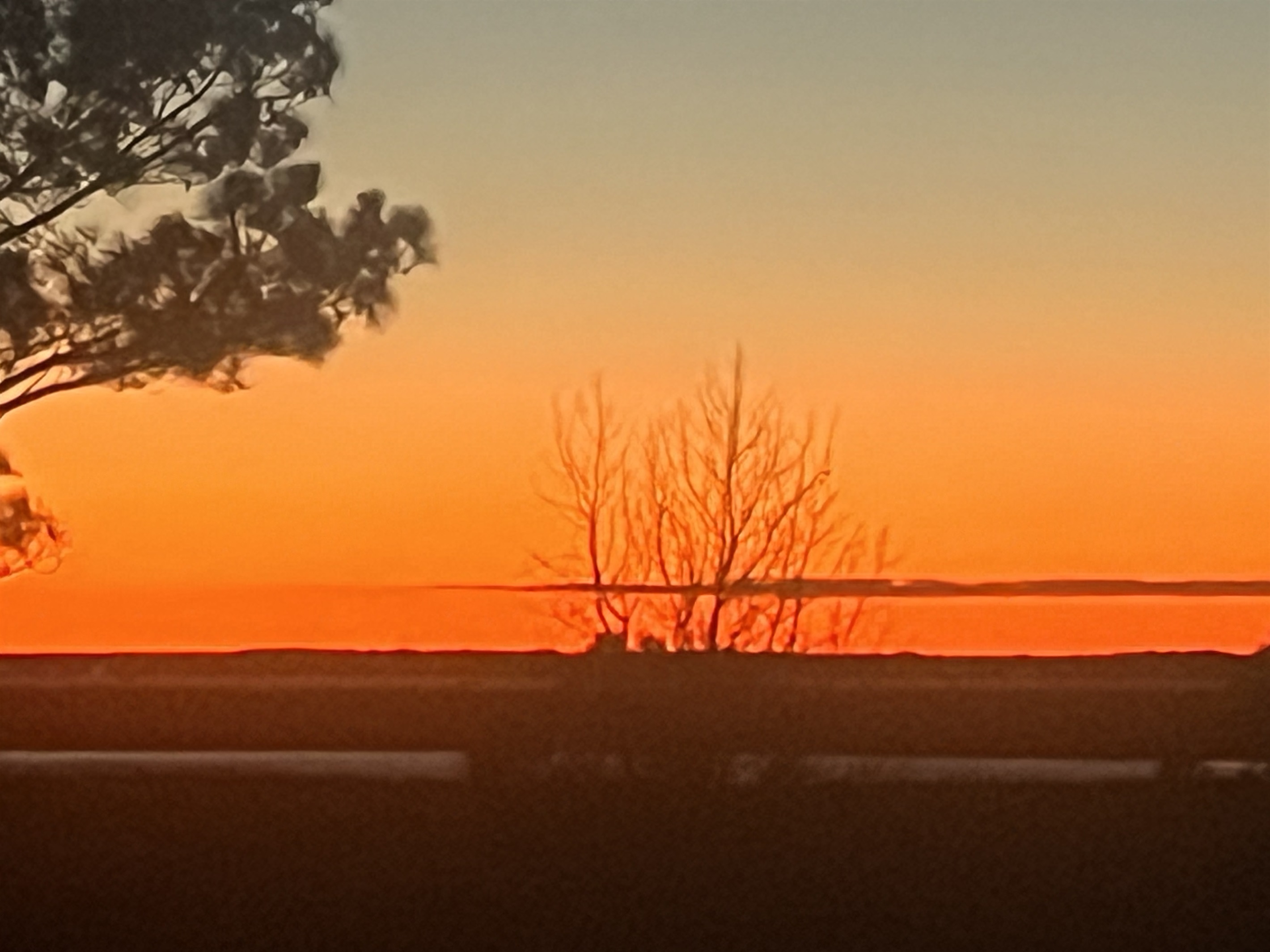 Sunset View