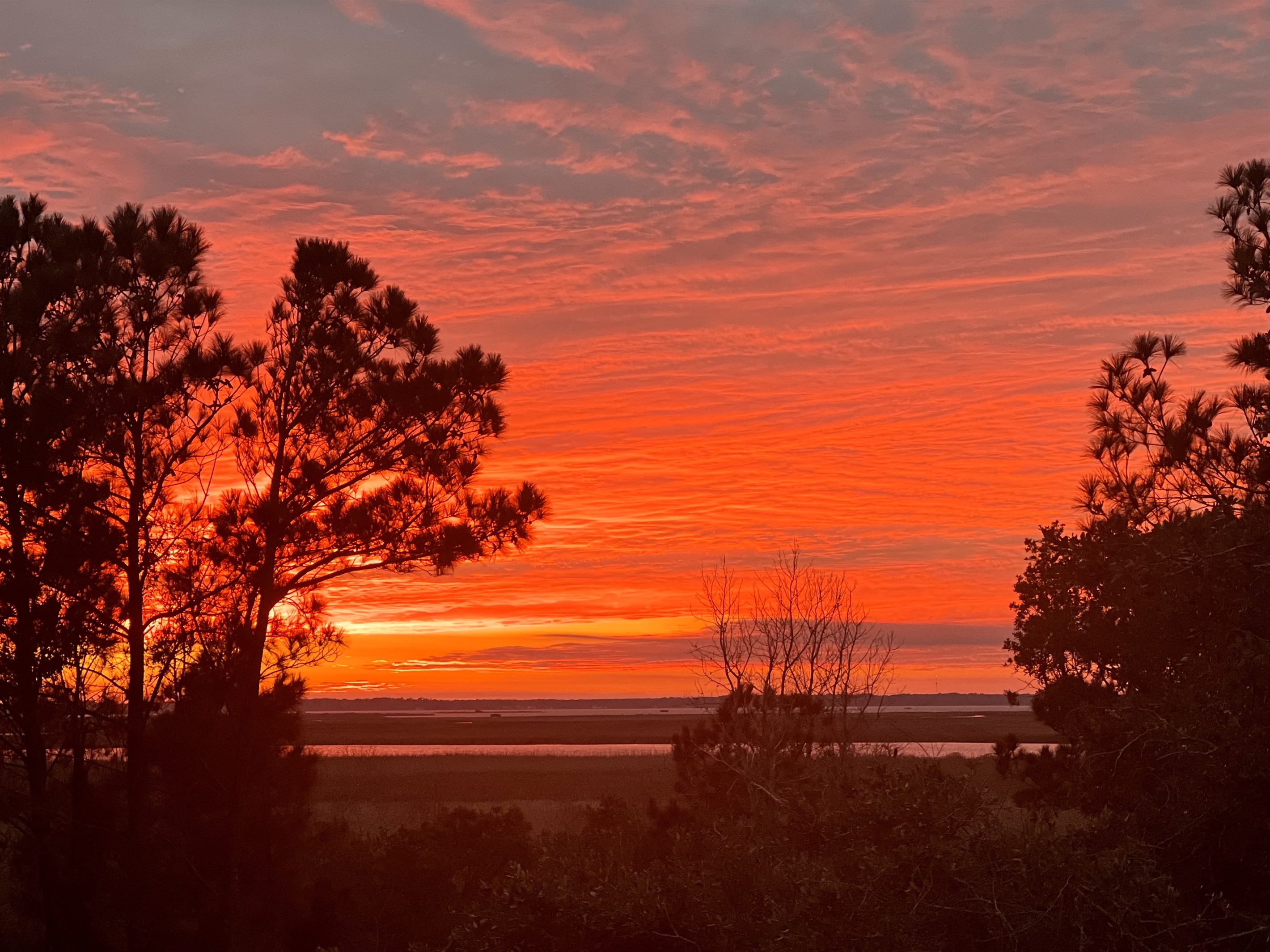 Sunset View