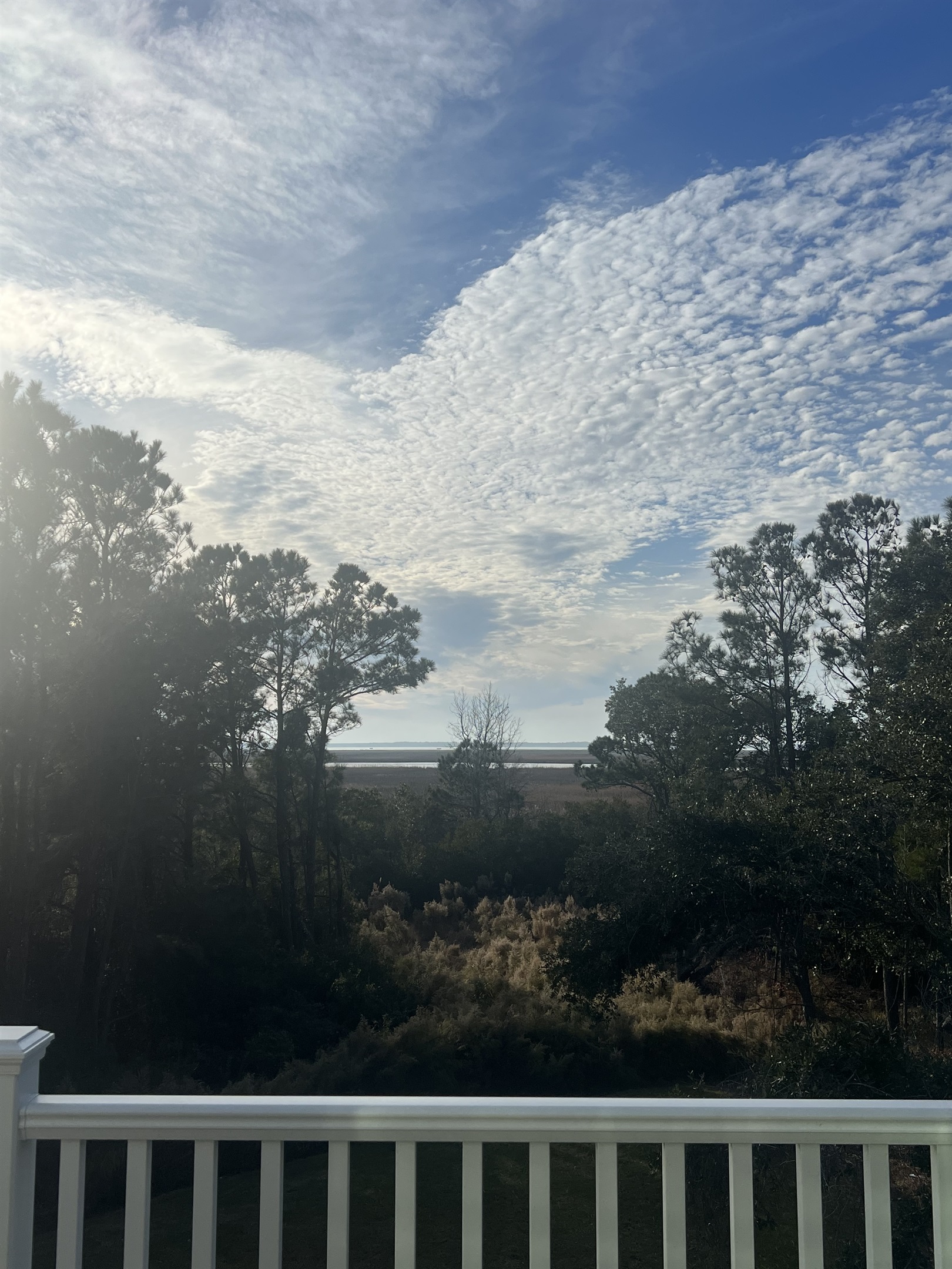 Deck View.