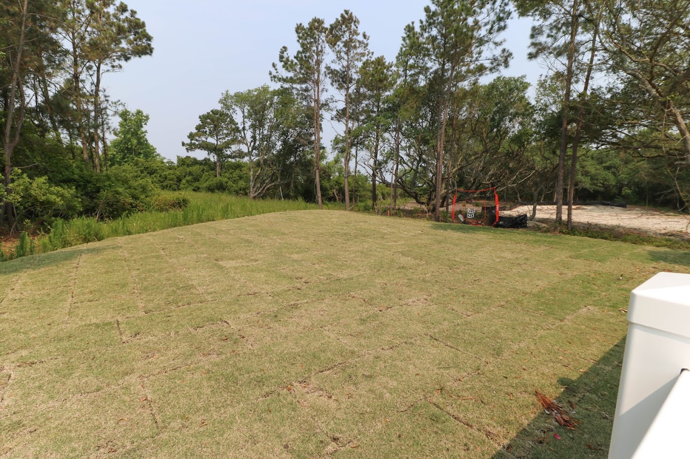 Backyard.