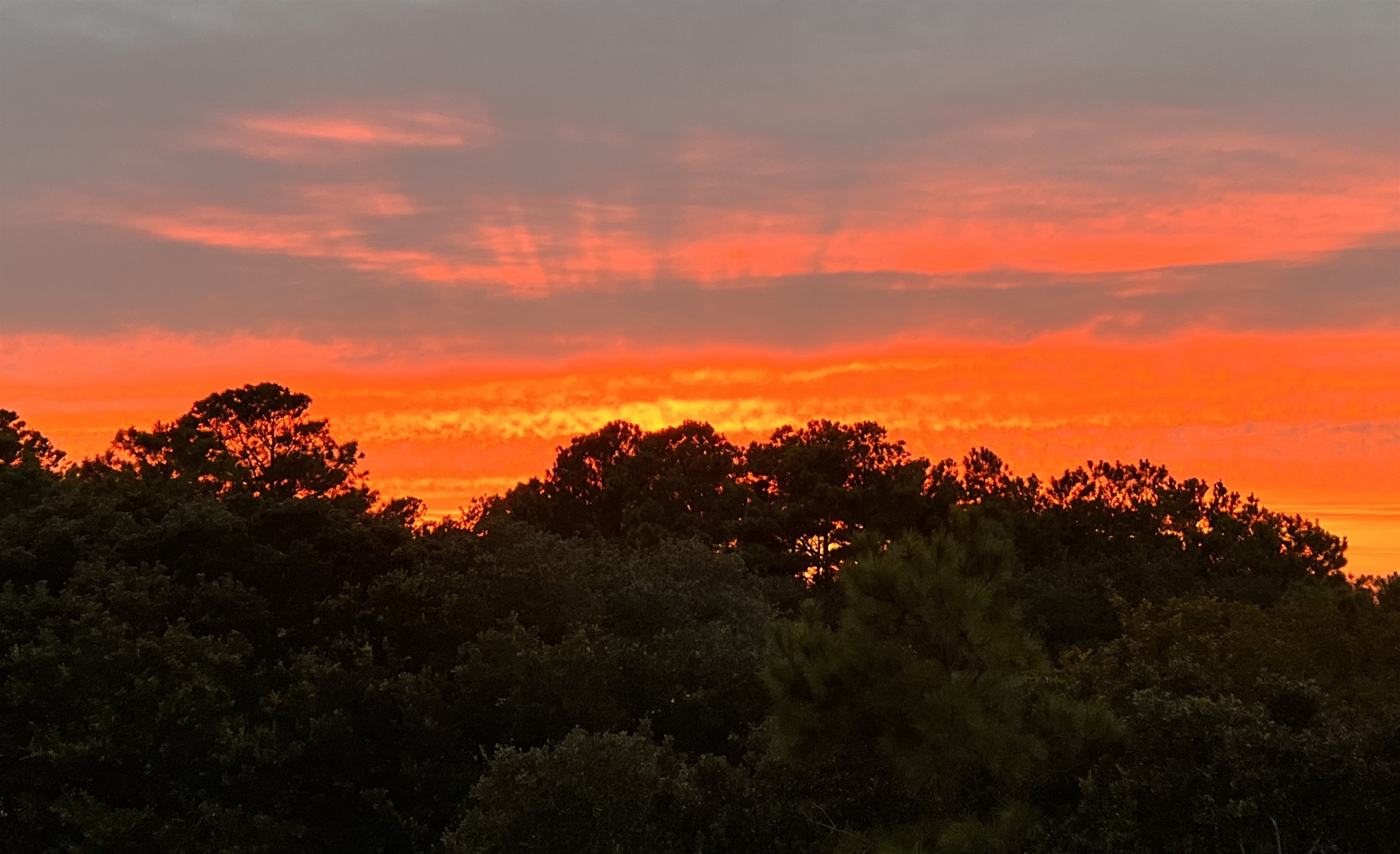Beautiful picture of sunset.from back Deck