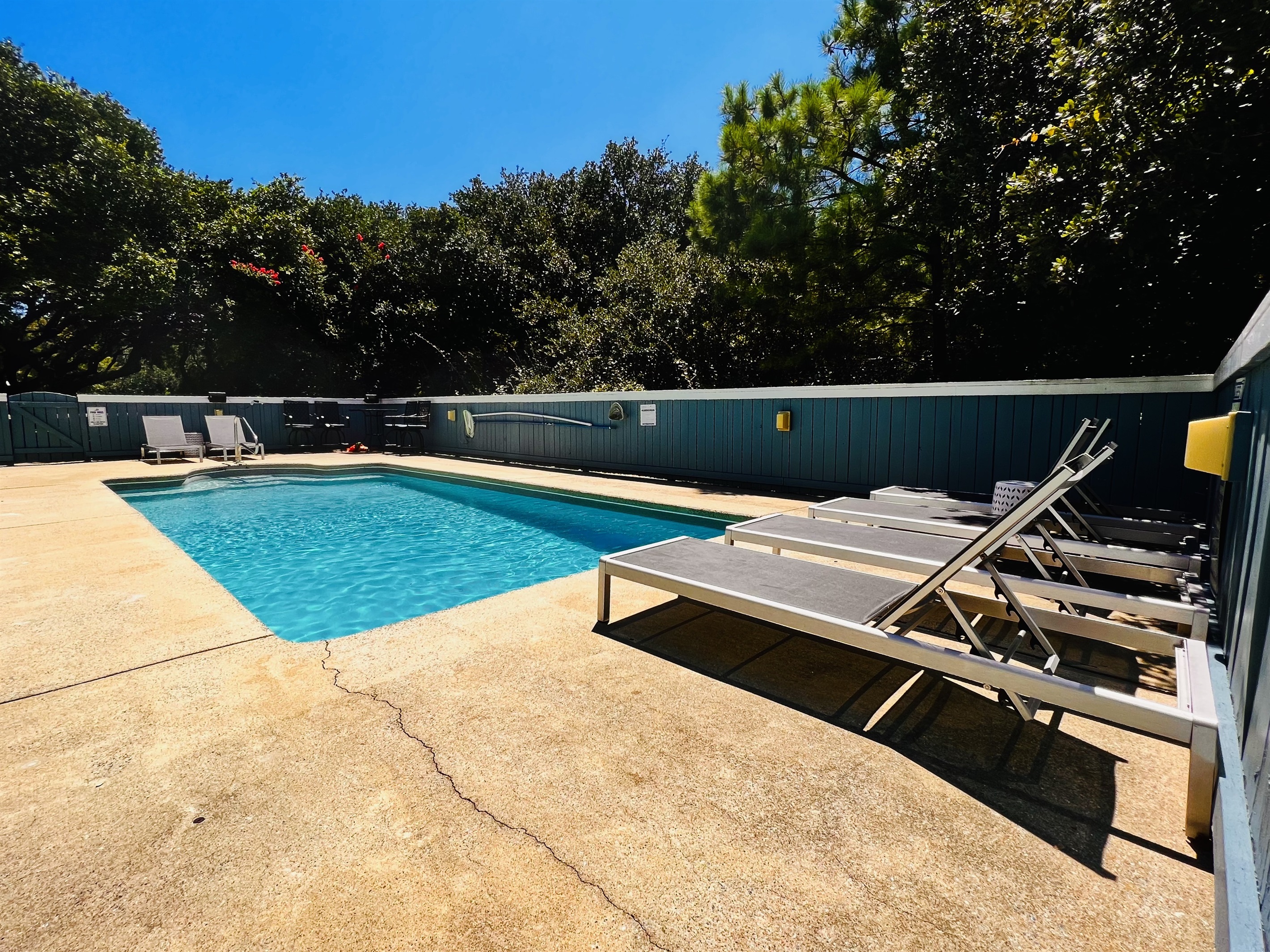 Private 13x36 Foot Pool, Trees Provide Privacy
