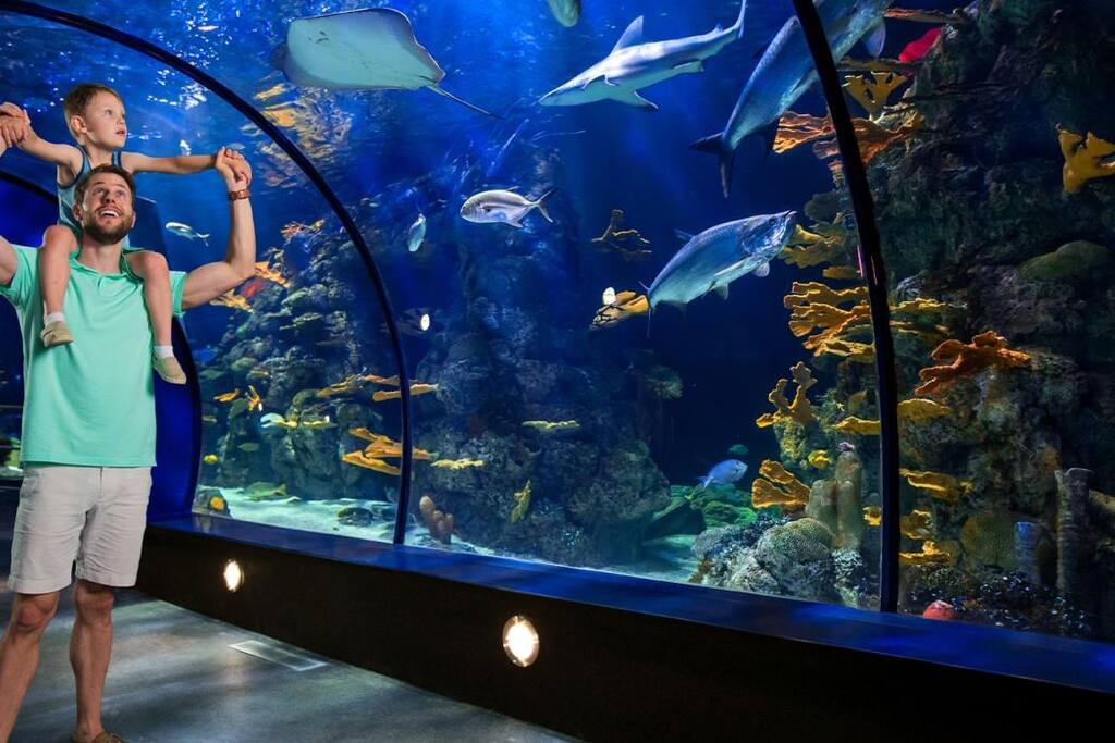 Visit the Aquarium segment of Moody Gardens, one of my favorite spots to check out with the family or a fun date night!
