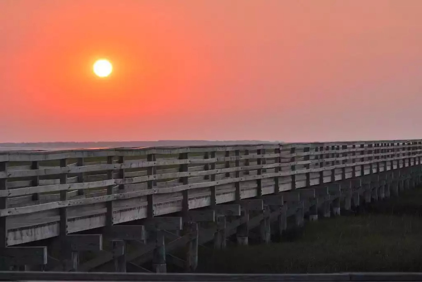 malhar-studio-apt-baner-pune/