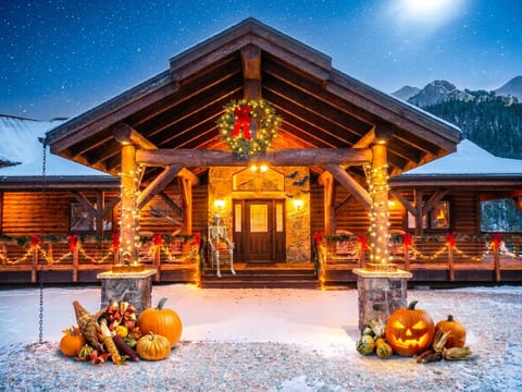 Ultimate Nemo Holiday Adventure Hub