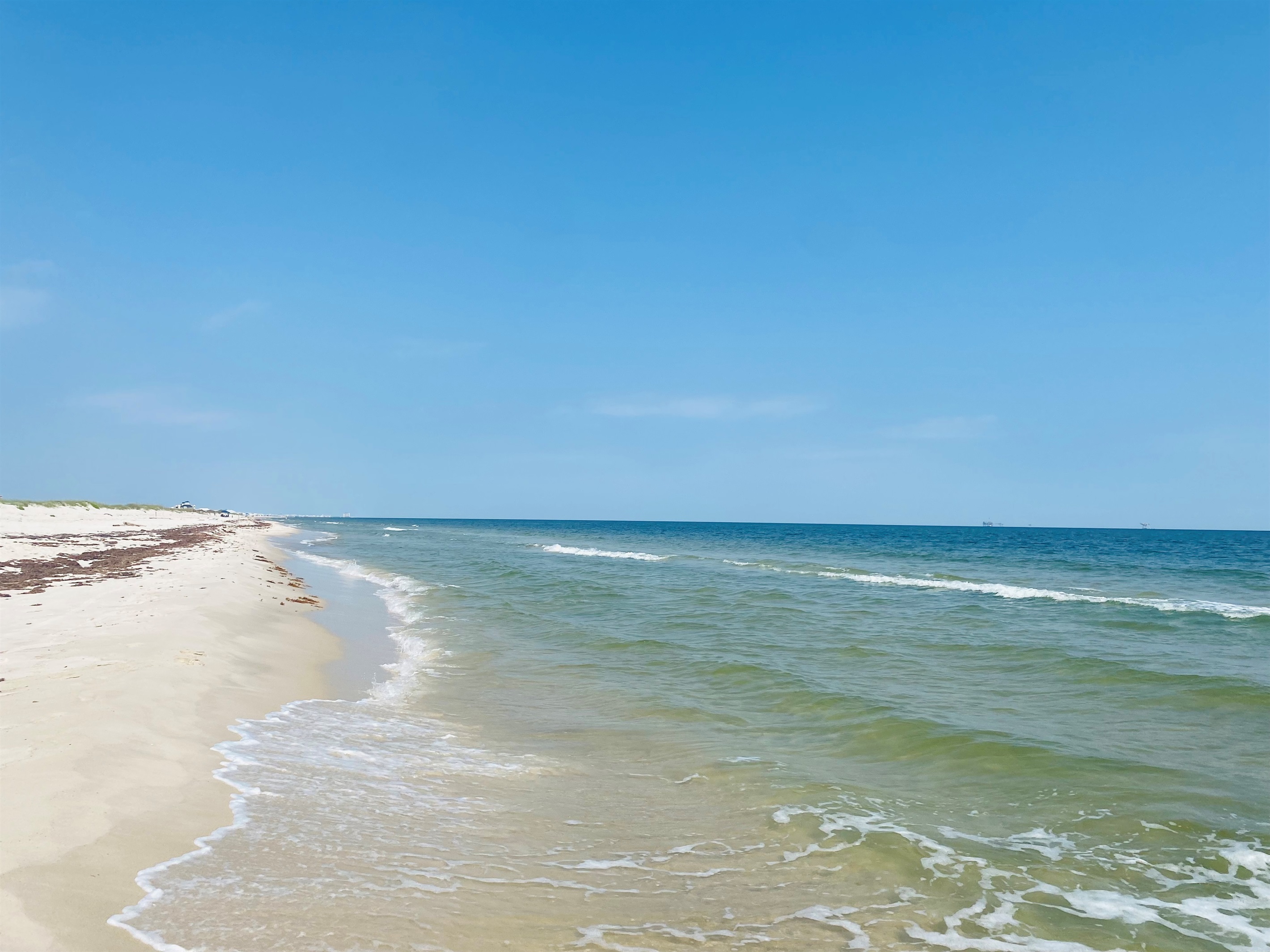 Sea Krewe