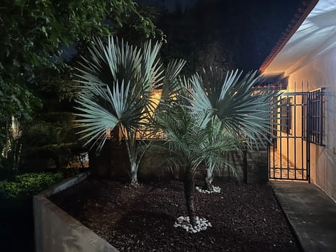 Accès terrasse principale