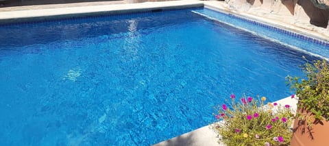Le Colibri Récif Pool - Cozy Calm and beach image 3