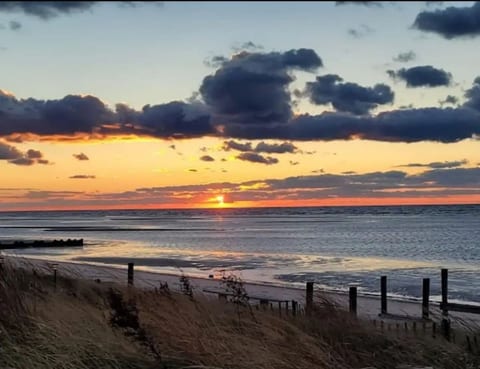 Beechwood by the Bay - Dog Friendly