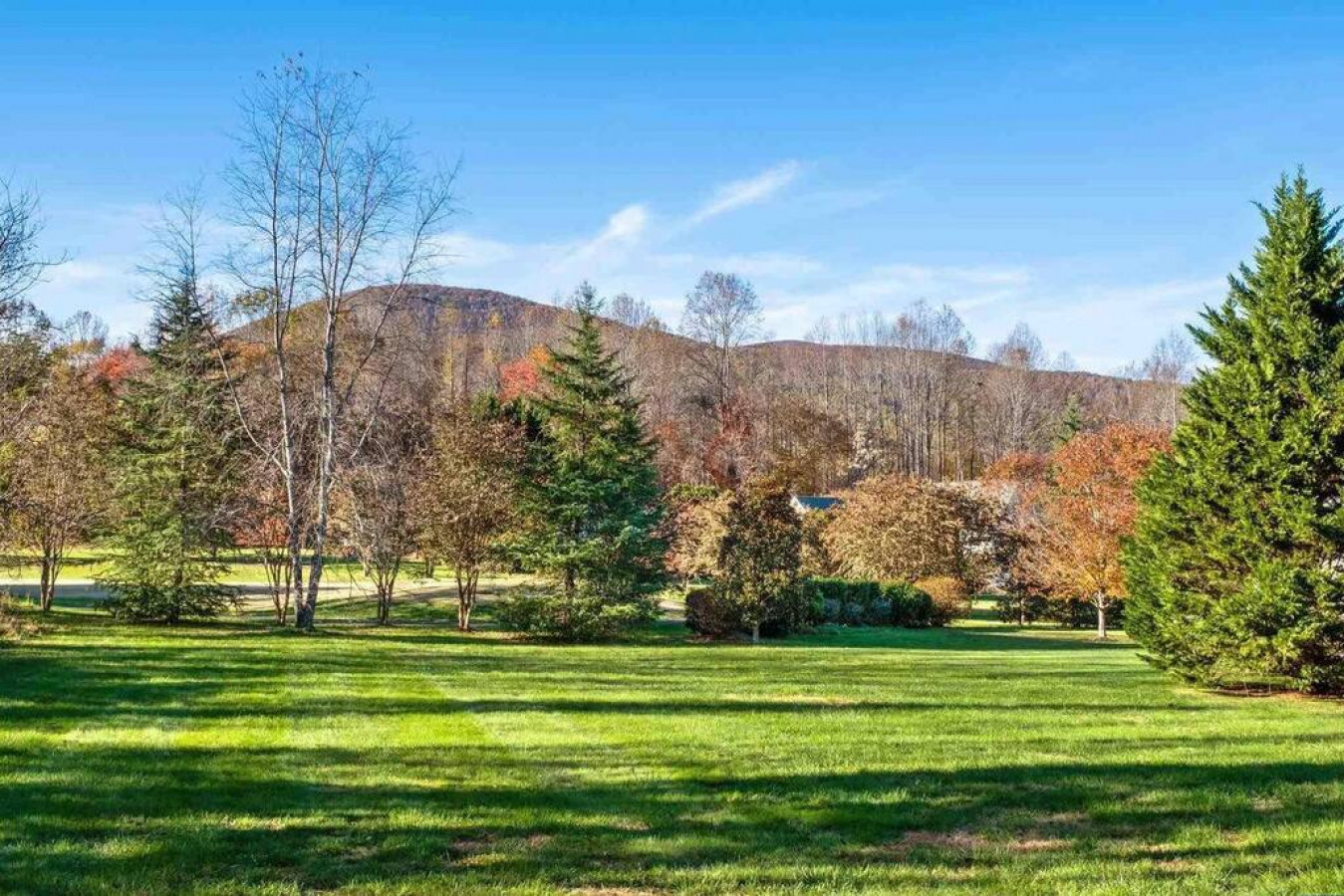 stoney-creek-cottage-@-wintergreen-w-ev-charger/