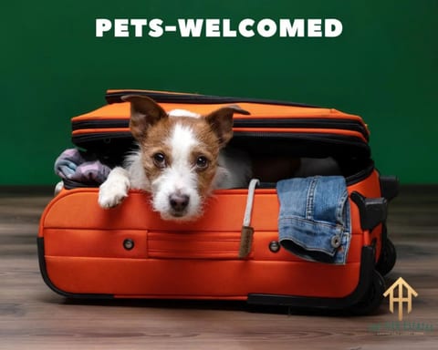 Welcome bestie! A comfortable and pet friendly vacation home which is perfect for your best friend!