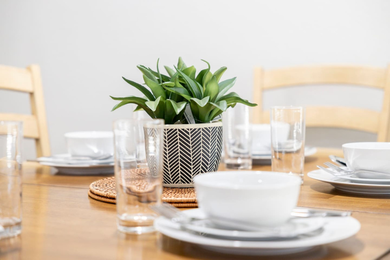 lavish-hidden-gem-or-pet-friendly/