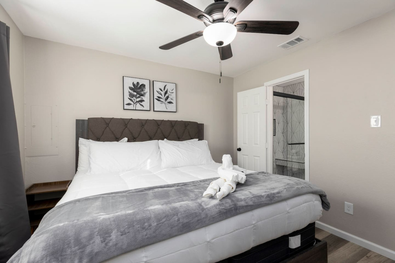 lavish-hidden-gem-or-pet-friendly/