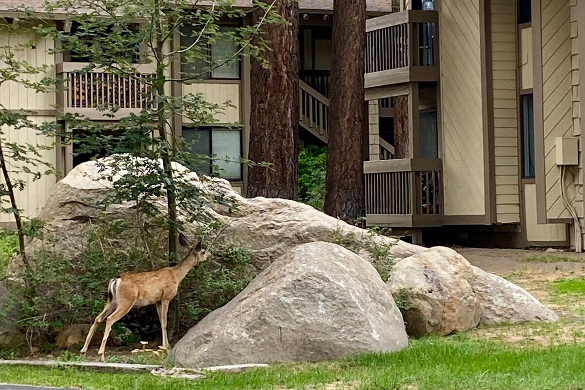 Mammoth Deer Chalet 1Bdr + Bunks Alcove - Mammoth Lakes