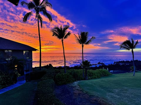 Aloha Kona Condos 1604