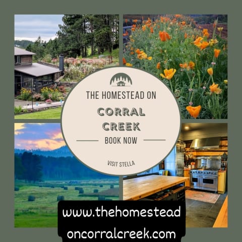 The Homestead on Corral Creek 