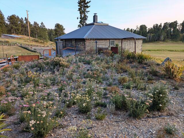 The Homestead on Corral Creek - Nemo