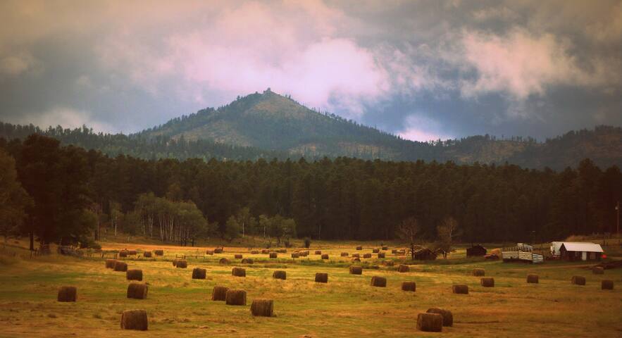 The Homestead on Corral Creek - Nemo