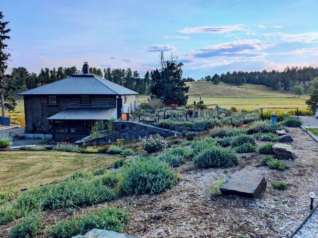 The Homestead on Corral Creek - Nemo