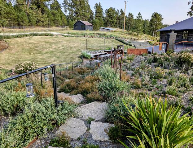 The Homestead on Corral Creek - Nemo