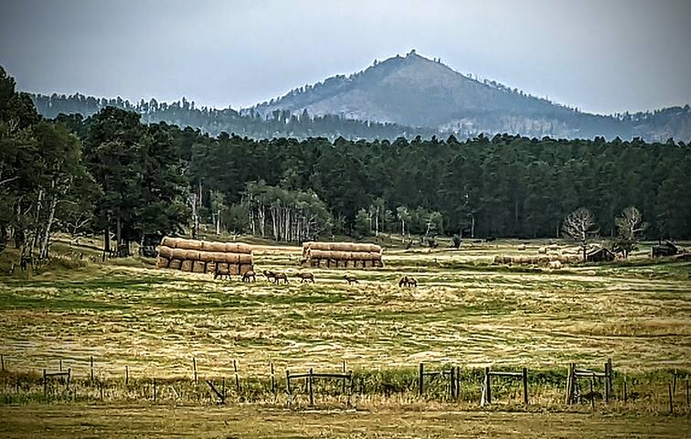 The Homestead on Corral Creek - Nemo