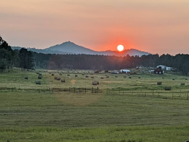 The Homestead on Corral Creek - Nemo