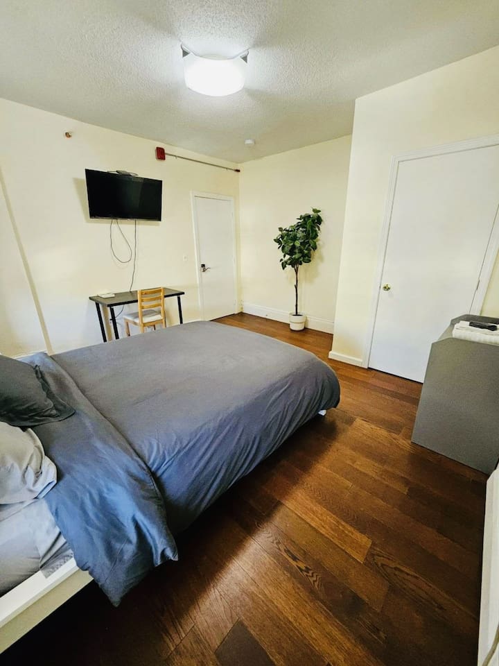 533f-nice-apartment-whole-foods-brown-university/