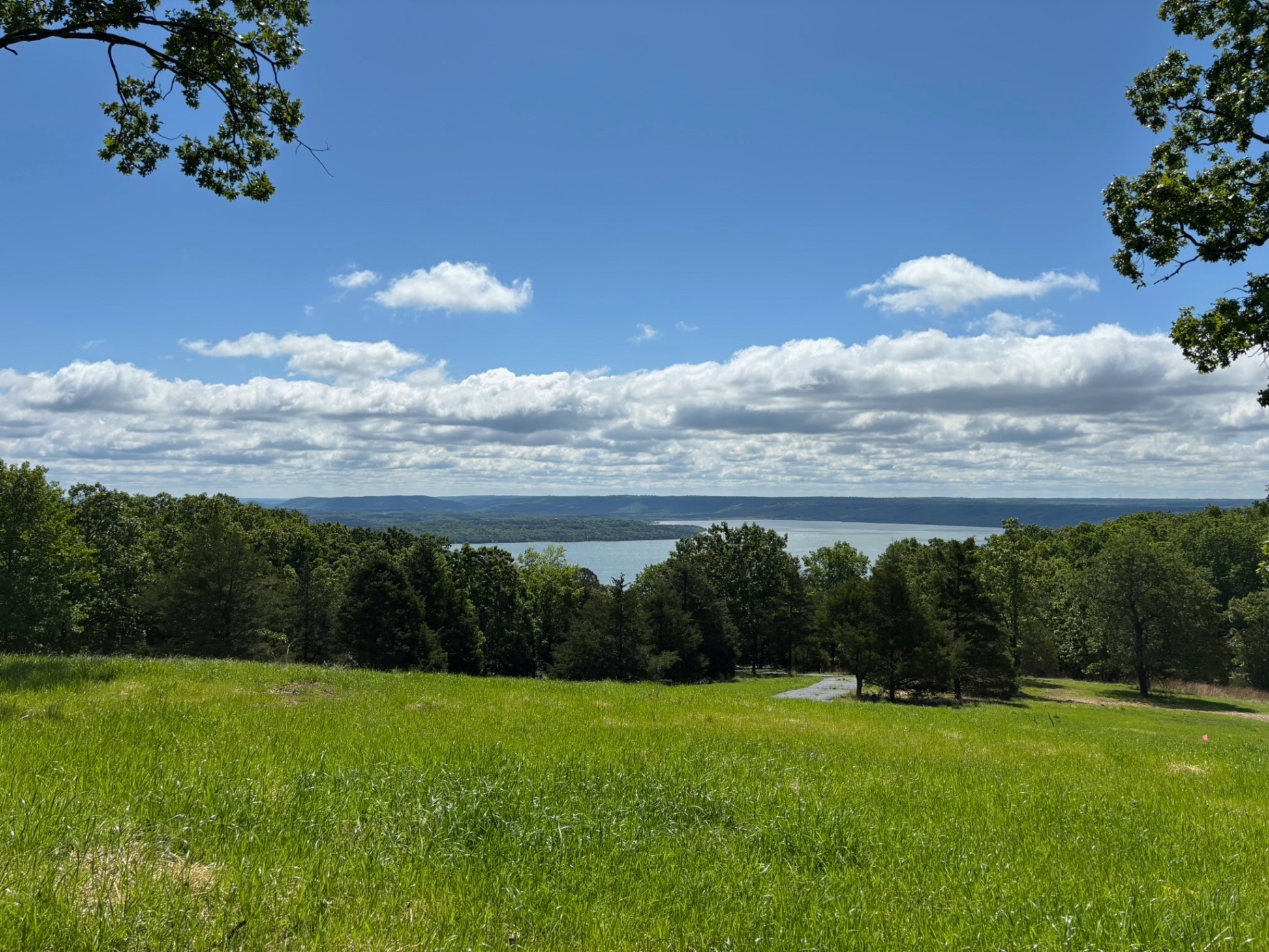 Rocky Top Ridge - New Grass - May 2025