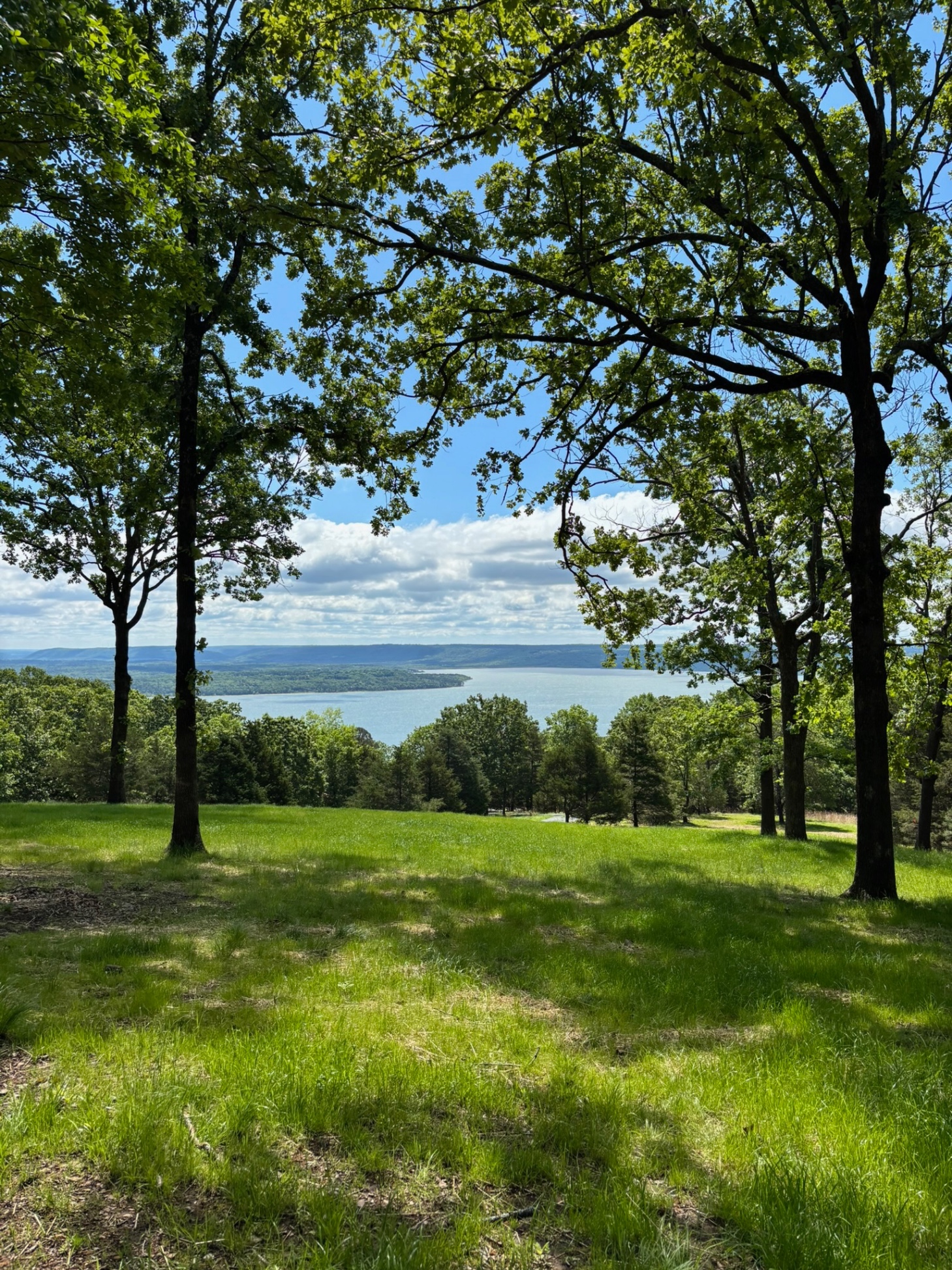Shaded Area under Ceremony Area