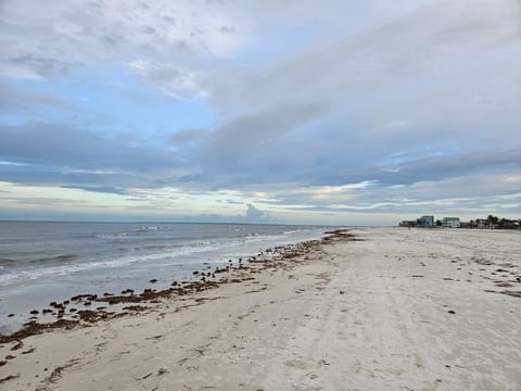 White Sands