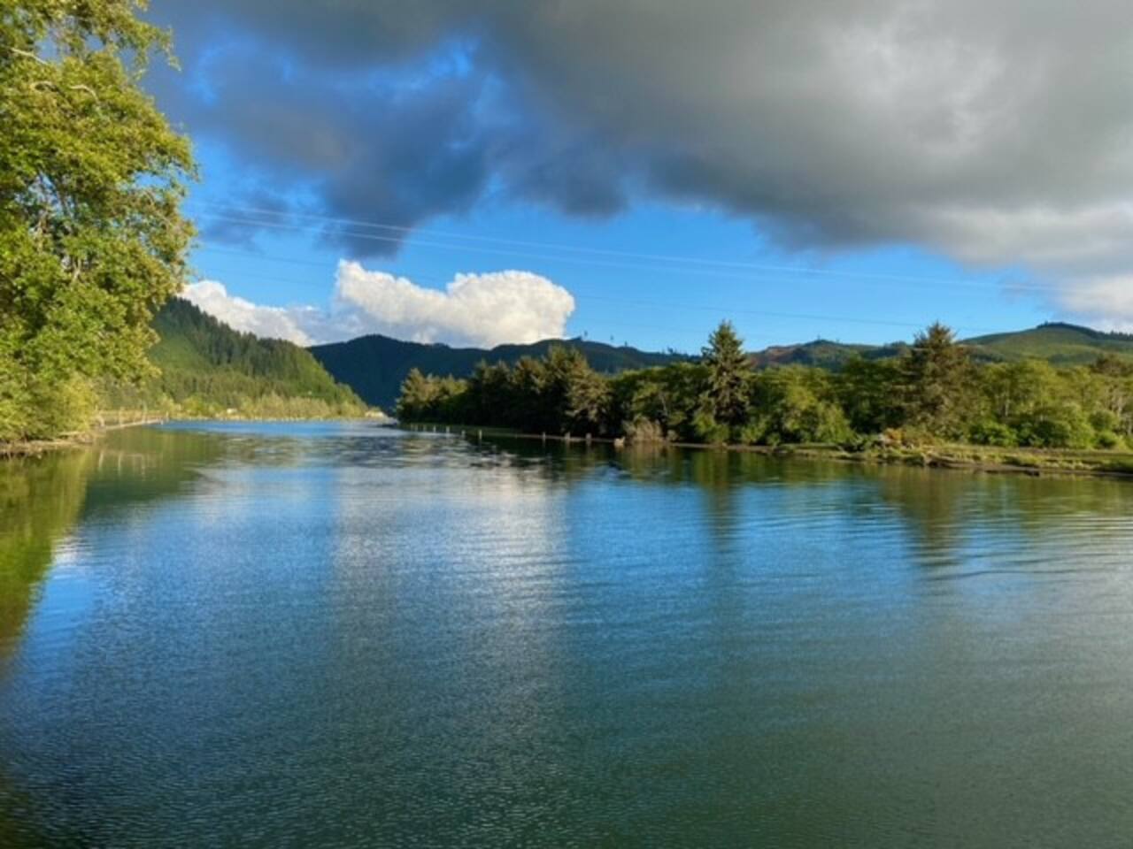 View of the wildlife sanctuary from the great room.