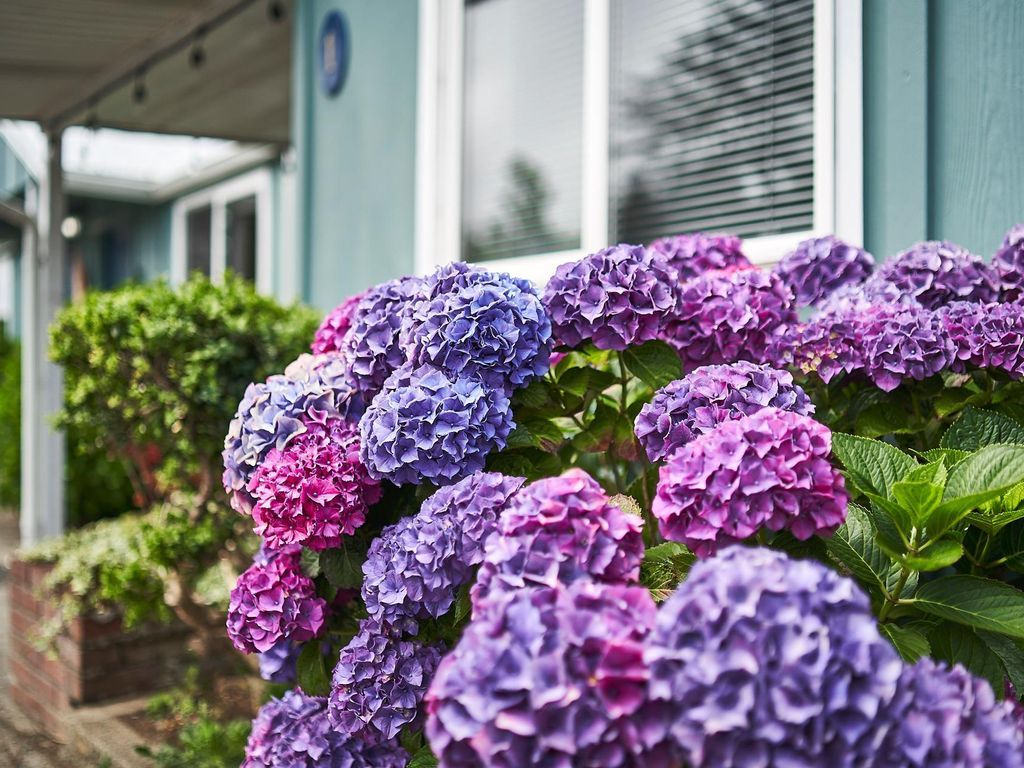 S2 - Cowabunga @ Surf Inn - 2 Bed 2 Bath - Tillamook