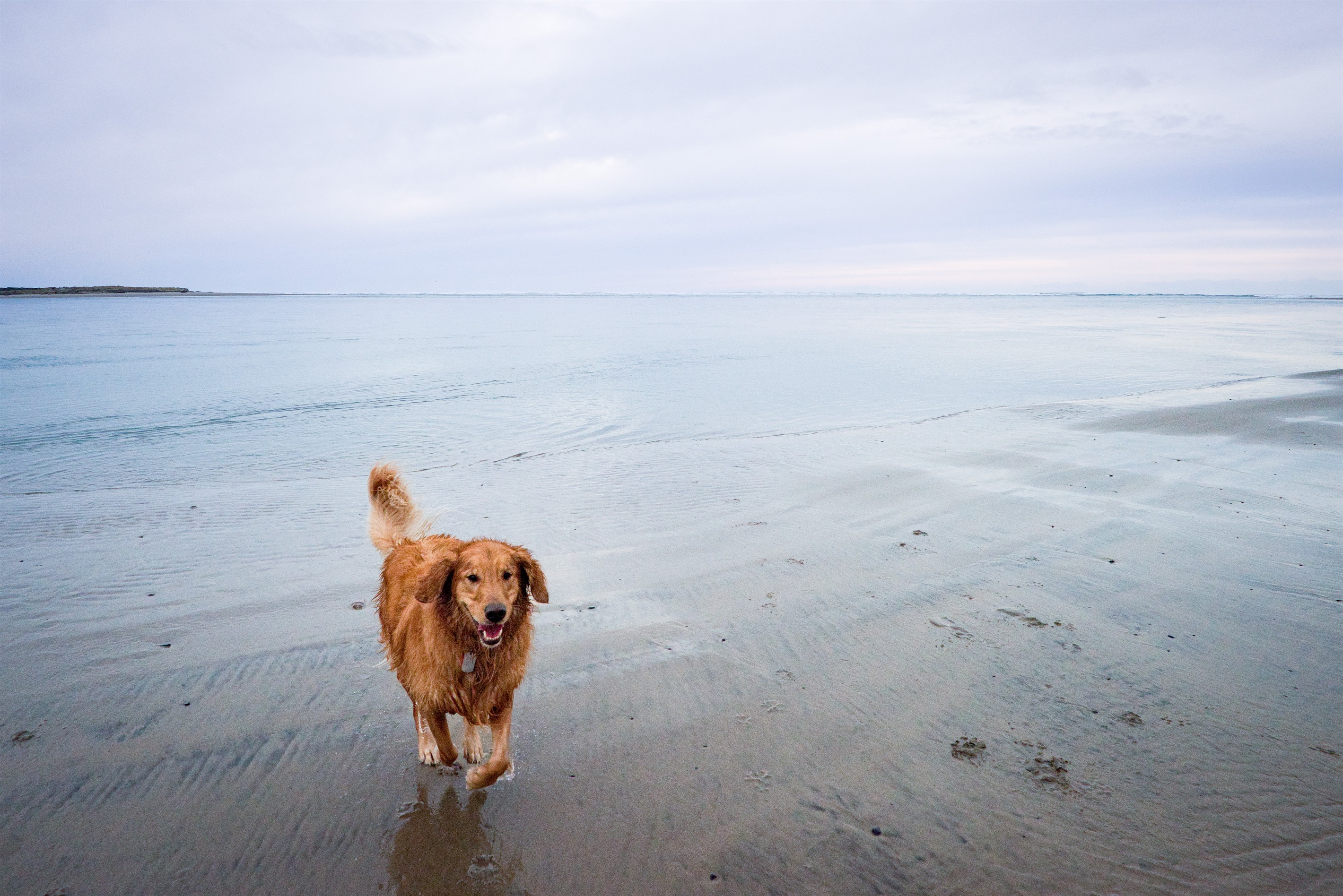S6 - Hang Ten @ Surf Inn - Tillamook