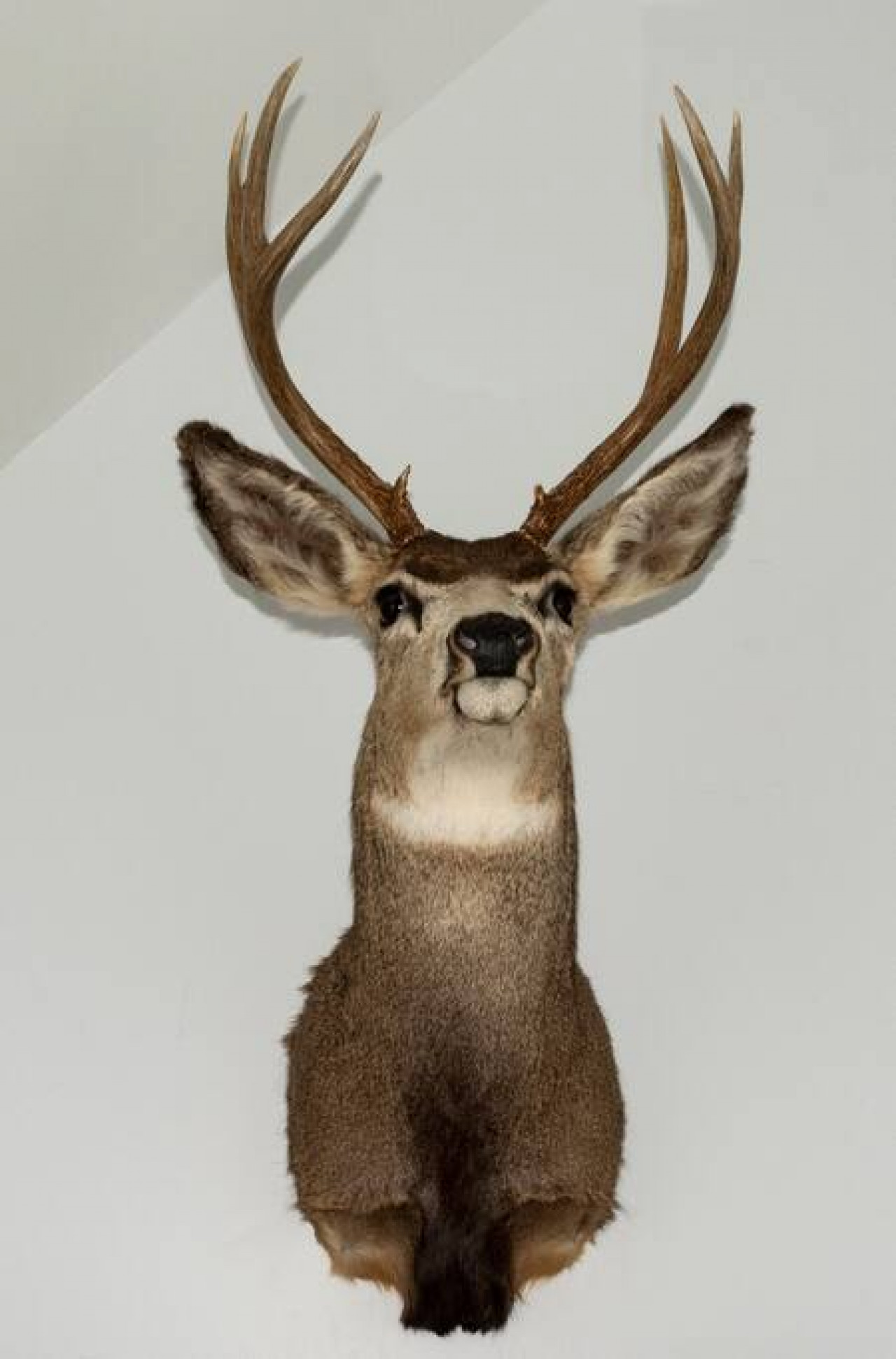 queen-bed-boston-rm-3/