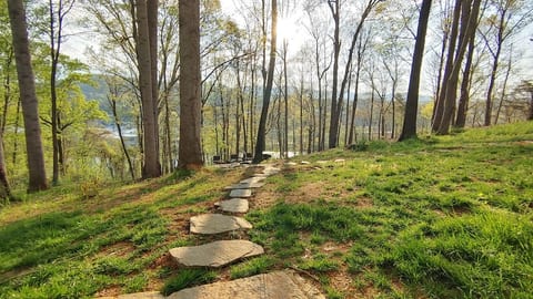 Asheville Mt Home-2 Full Living Spaces -3 mi to DT