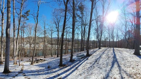 Asheville Mt Home-2 Full Living Spaces -3 mi to DT