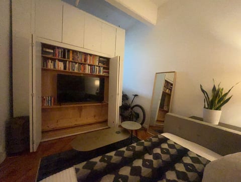 Guest room/TV room