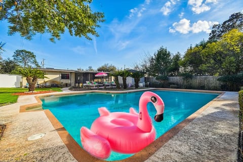 Phil the flamingo sadly was unalived by a rogue guest, but c'mon the waters fine, we have other pool floats, however long live Phil