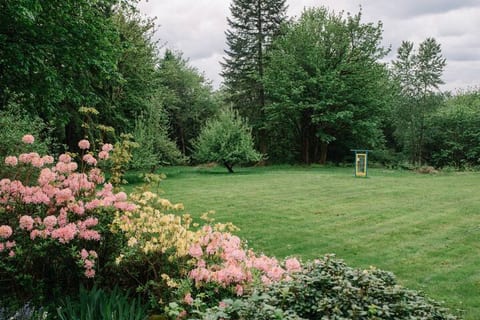 Lovely meadow