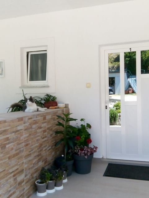 Apartments Suzy - Unit 372664-13