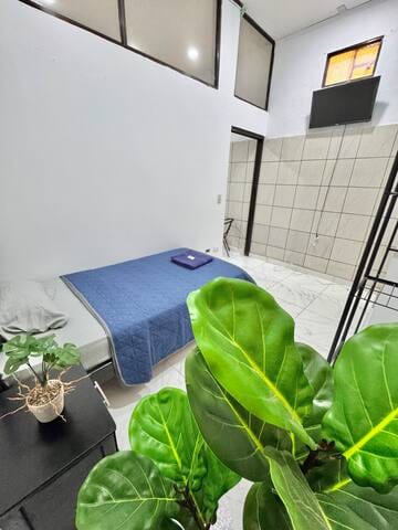 Global House Apartamento 1 Alajuela centro