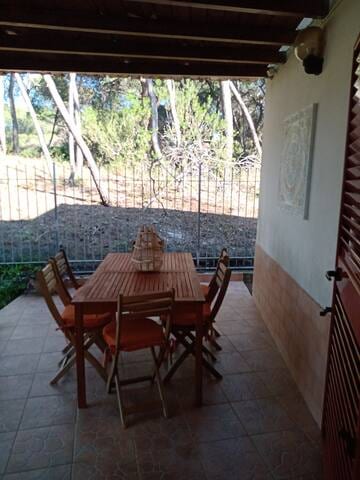 Villa pine forest 100m beach [pacific-apartments]
