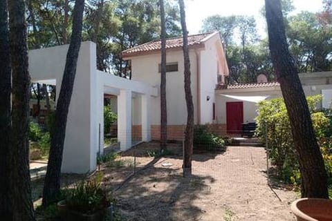 Villa pine forest 100m beach [pacific-apartments]