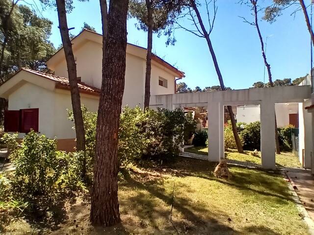 Villa pine forest 100m beach [pacific-apartments] - Castellaneta Marina