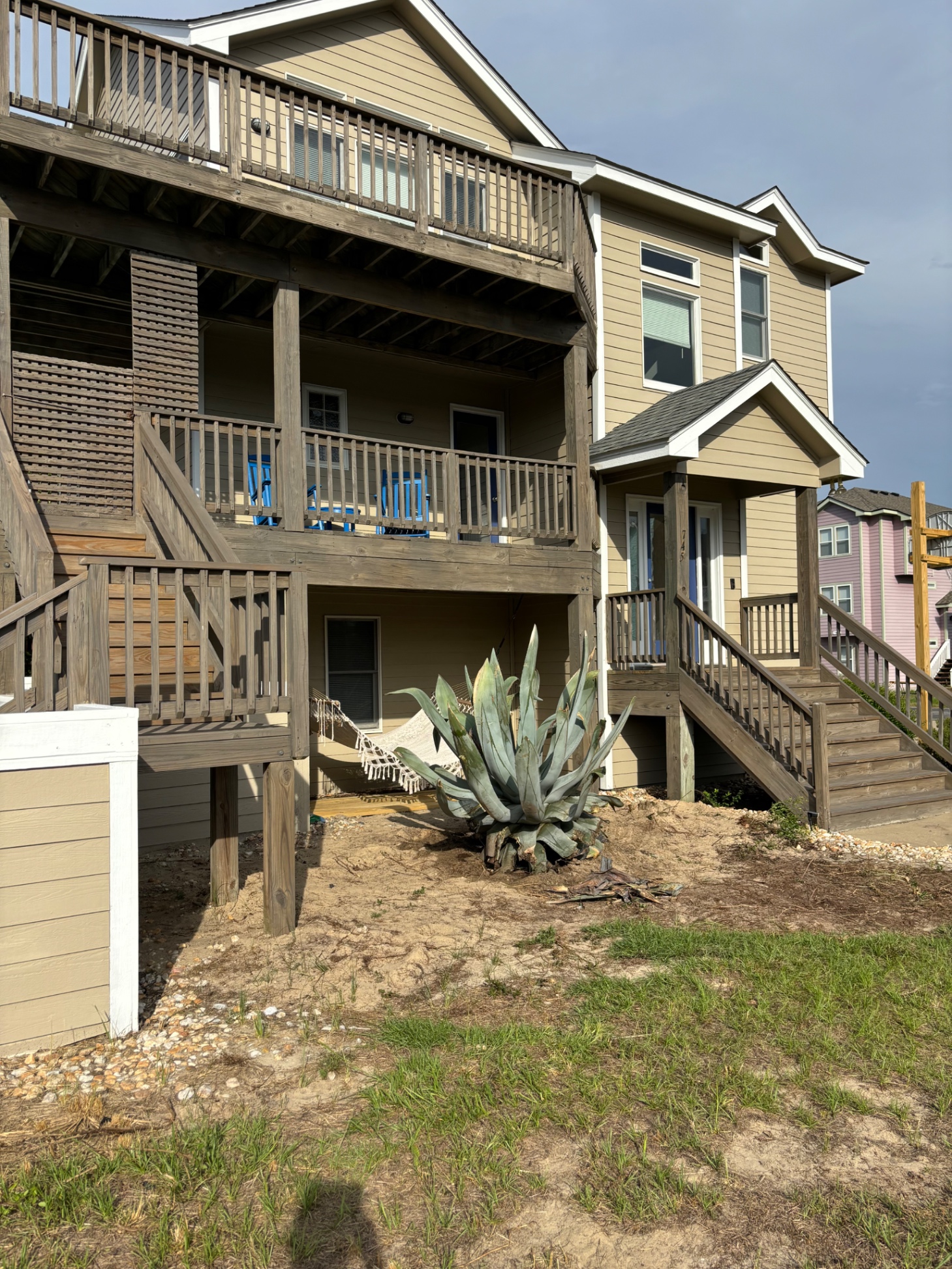 Take a nap in your personal hammock behind a 6ft American/Century Agave