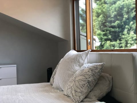 The S T A R G A Z E R | Executive Loft|Urban Oasis