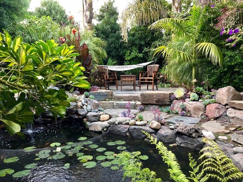 The S T A R G A Z E R | Executive Loft|Urban Oasis