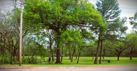 4 Guests, 1 Bed, Townhouse Loft, Euless