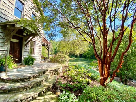Mountain Escape on 49acres with stream•pond•trails